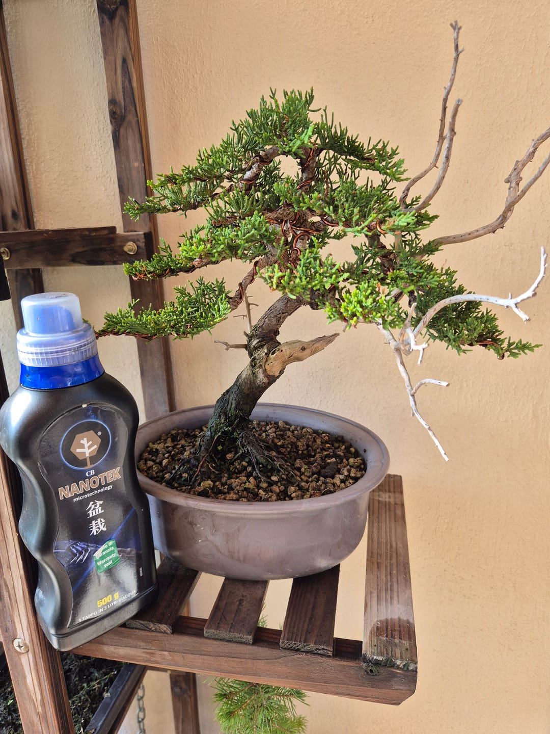 Customer photo review of NANOTEK CB® (DNA BONSAI 2.0)