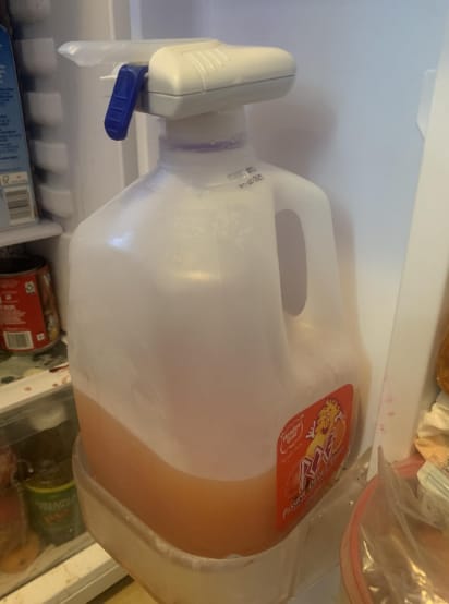 Customer photo review of Automatic Milk Dispenser