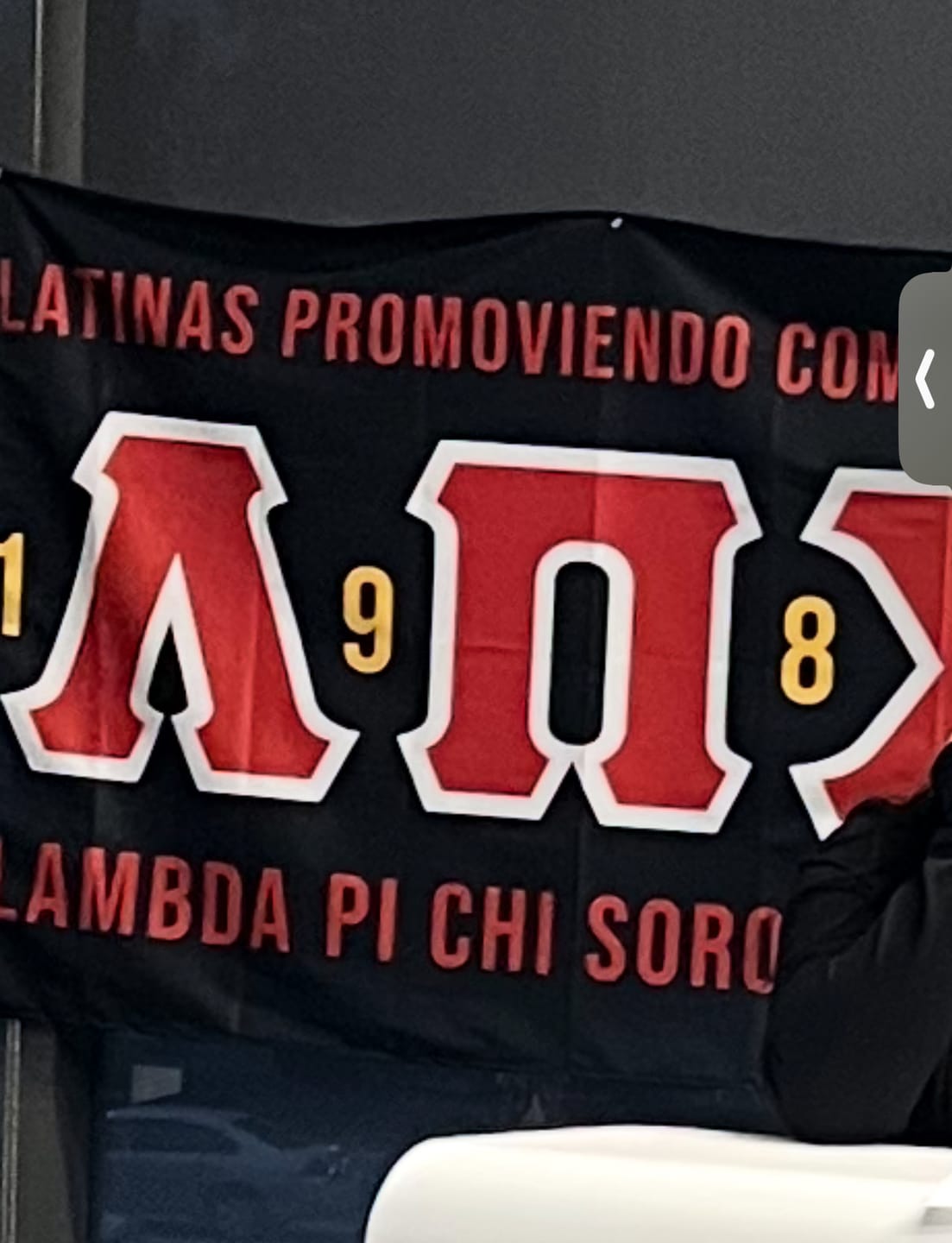 Customer photo review of LPC Letter Flag