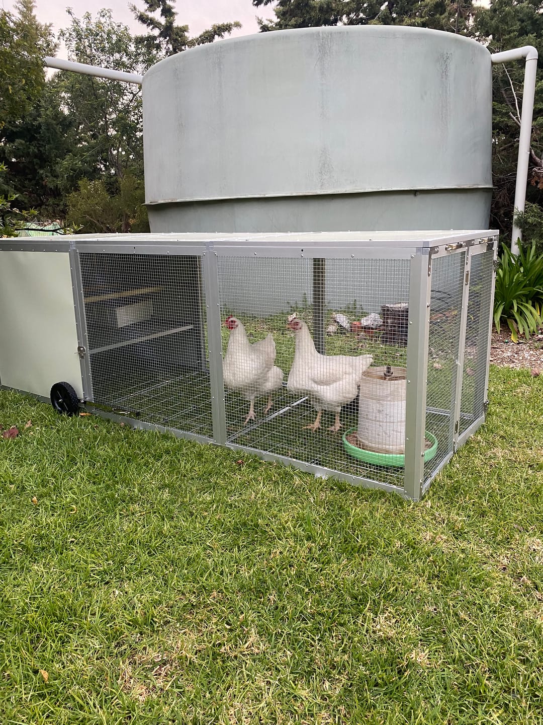 Customer photo review of Galvanised Mesh Floor for Chicken Coop