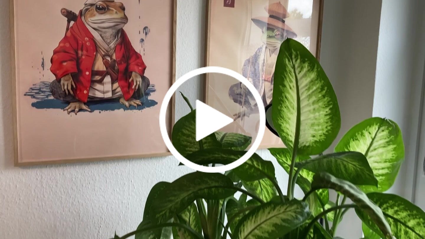 Customer video review of Artower® Bilderrahmen Natur Holz Eiche Dünner Rahmen