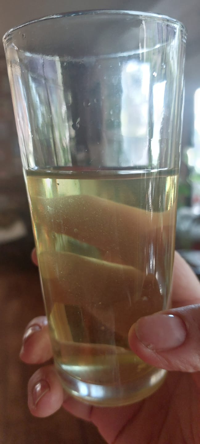 Customer photo review of Osmanthus Fragrans