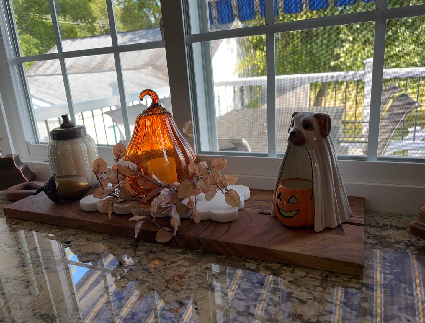 Customer photo review of Glass Gourd Cloche
