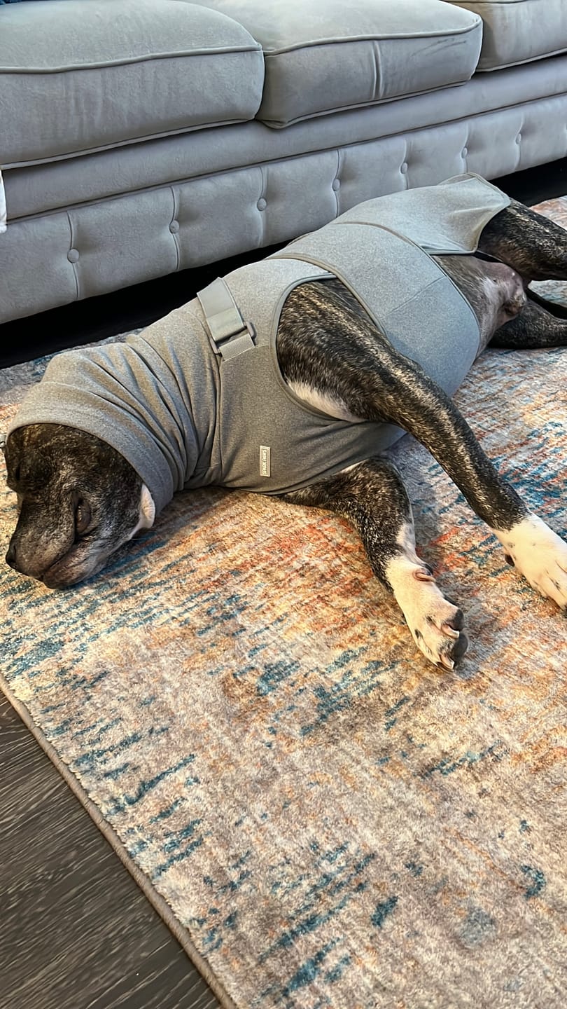 Customer photo review of Anxiety Calming Suit - Heather Grey