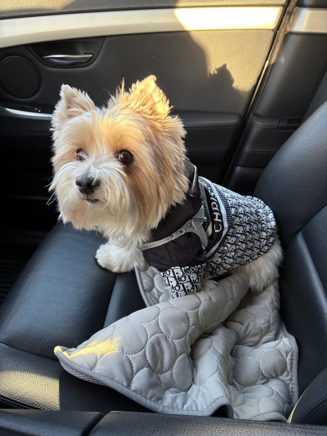 Customer photo review of DONIA JACKET