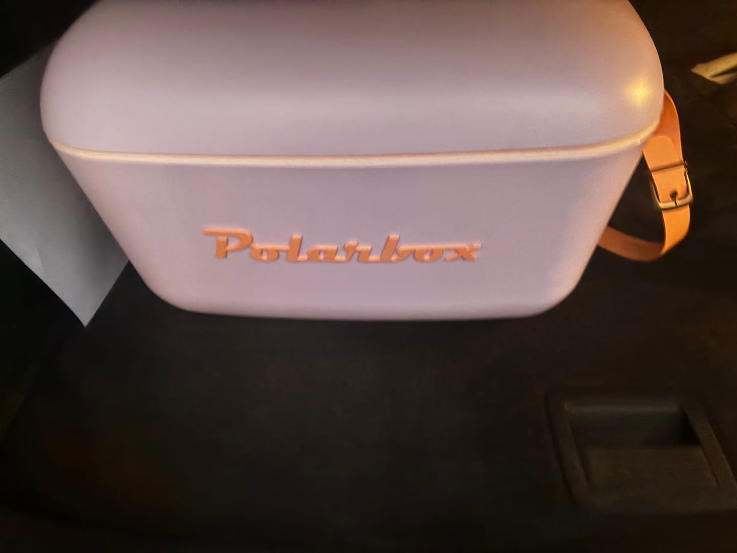Customer photo review of Polarbox Retro Cooler Box 20L / 12L Purple