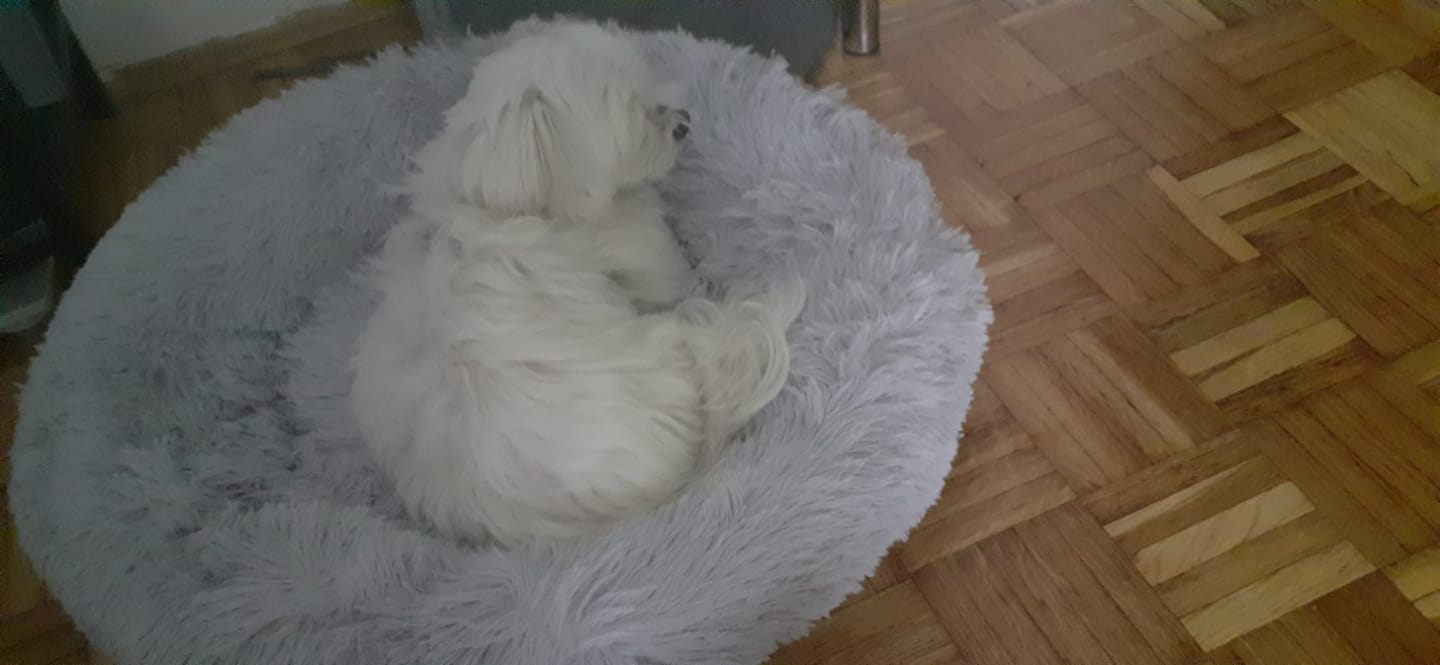 Customer photo review of Umirujući Krevet za Pse