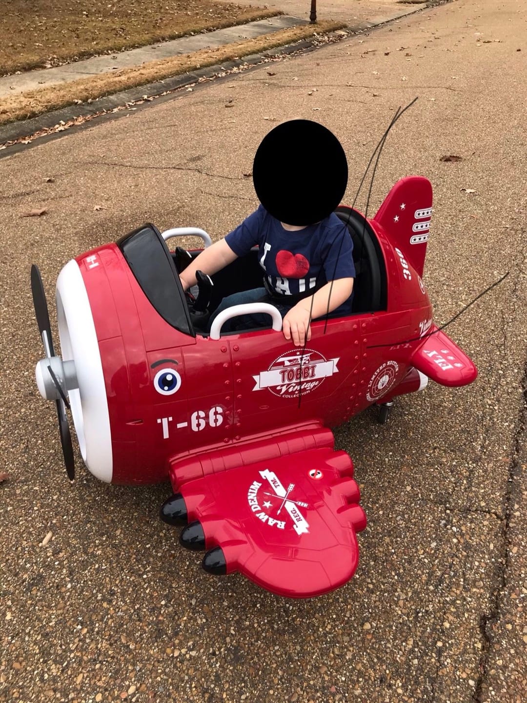 Customer photo review of TOBBI 12V Electric Kids Ride-On Toy Airplane