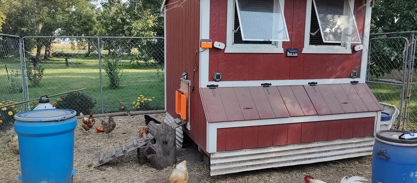 Customer photo review of Solar Automatic Chicken Coop Door