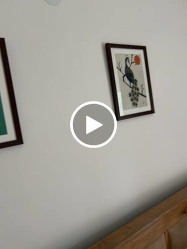 Customer video review of Hummingbird