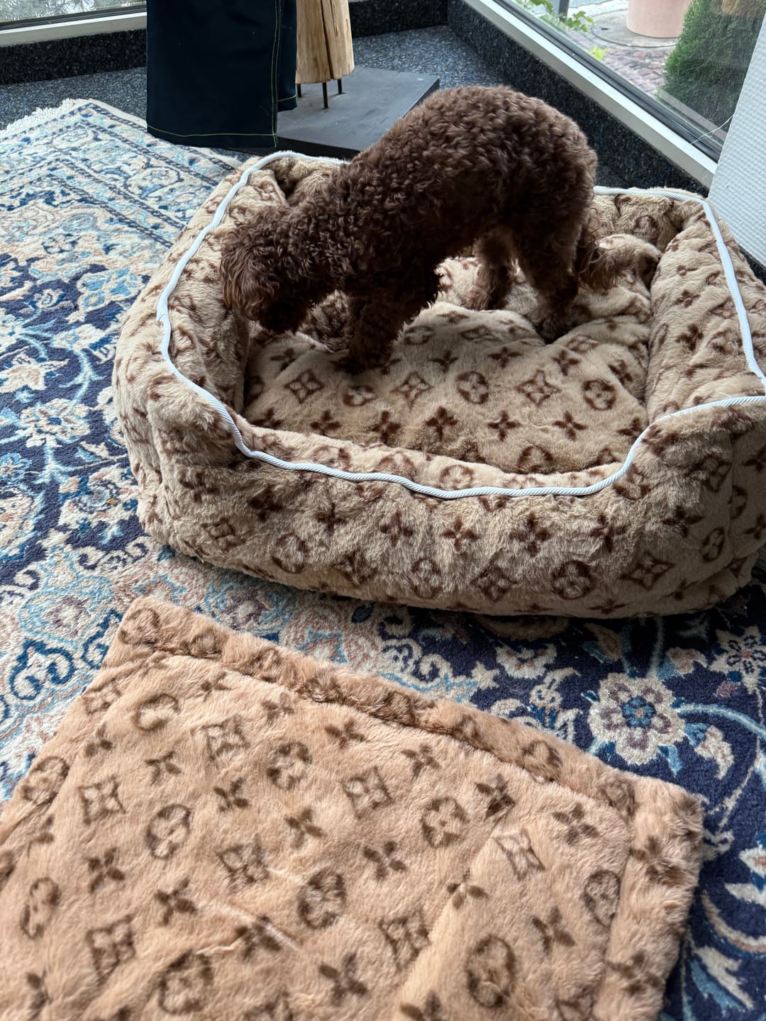 Customer photo review of LOUIS PAWTTON SOFT DESIGNER DOG BED