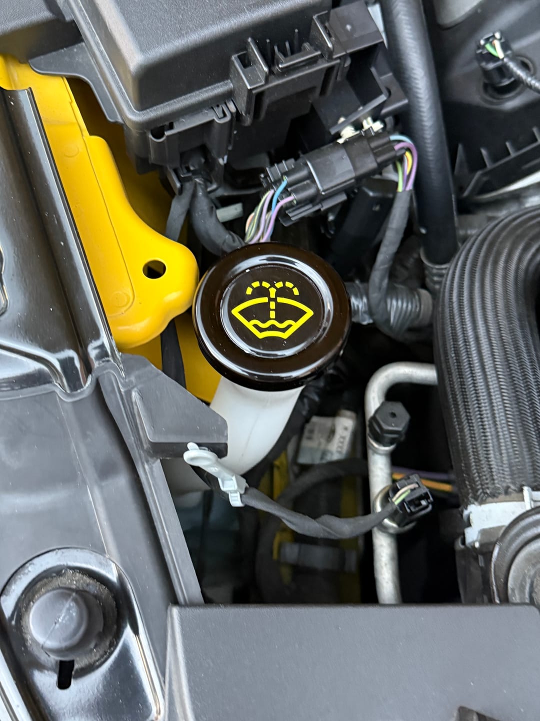 Customer photo review of Proform Washer Bottle Bung Mk3/3.5 Focus (Plastic Finishes)