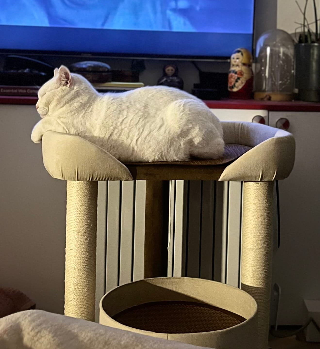 Customer photo review of Japanese-Style Double-Level Cat Tree Cat Sofa - 90901B, Perfect for Window-Side Lounging