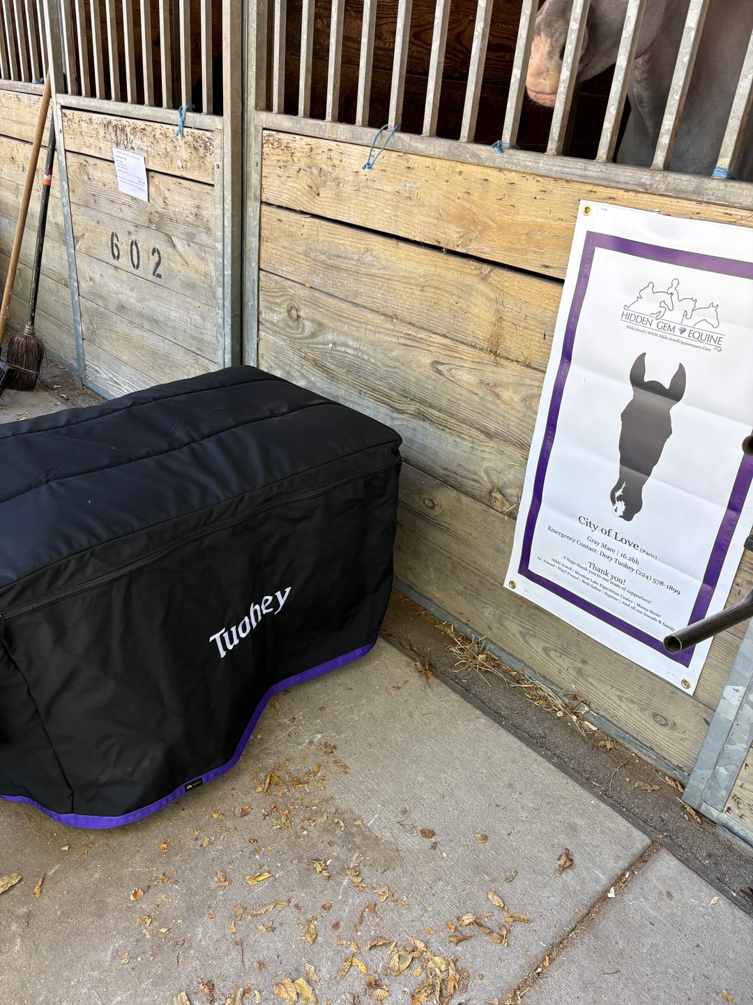 Customer photo review of Custom Tack Trunk Cover- For any Standard Size Trunk