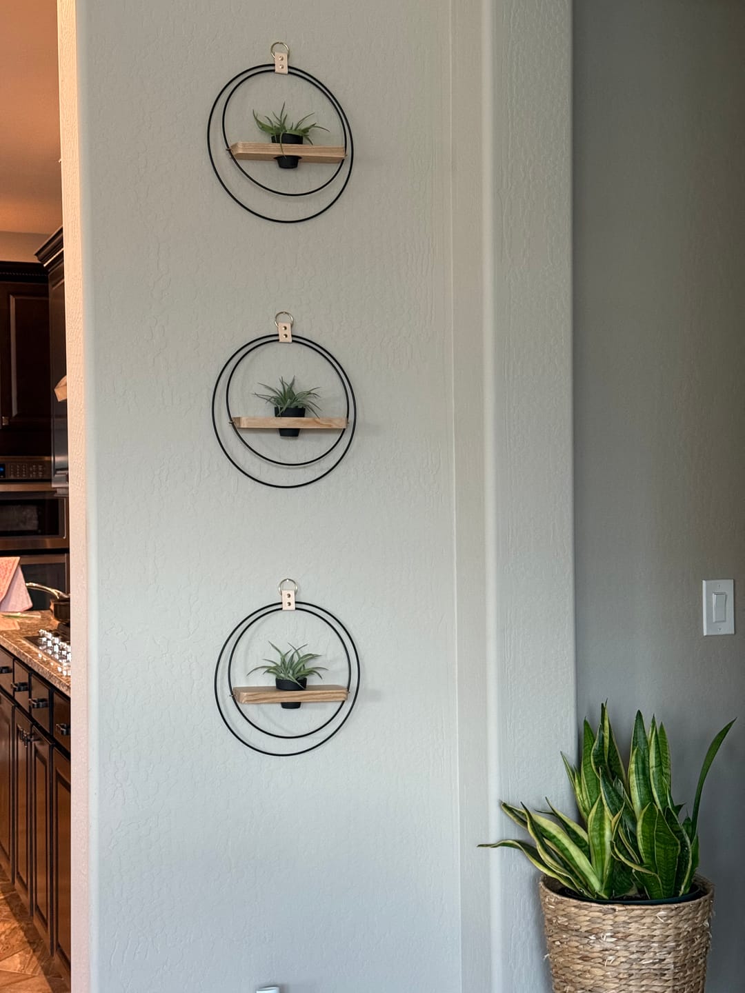 Customer photo review of Air Plant Shelf + Pot