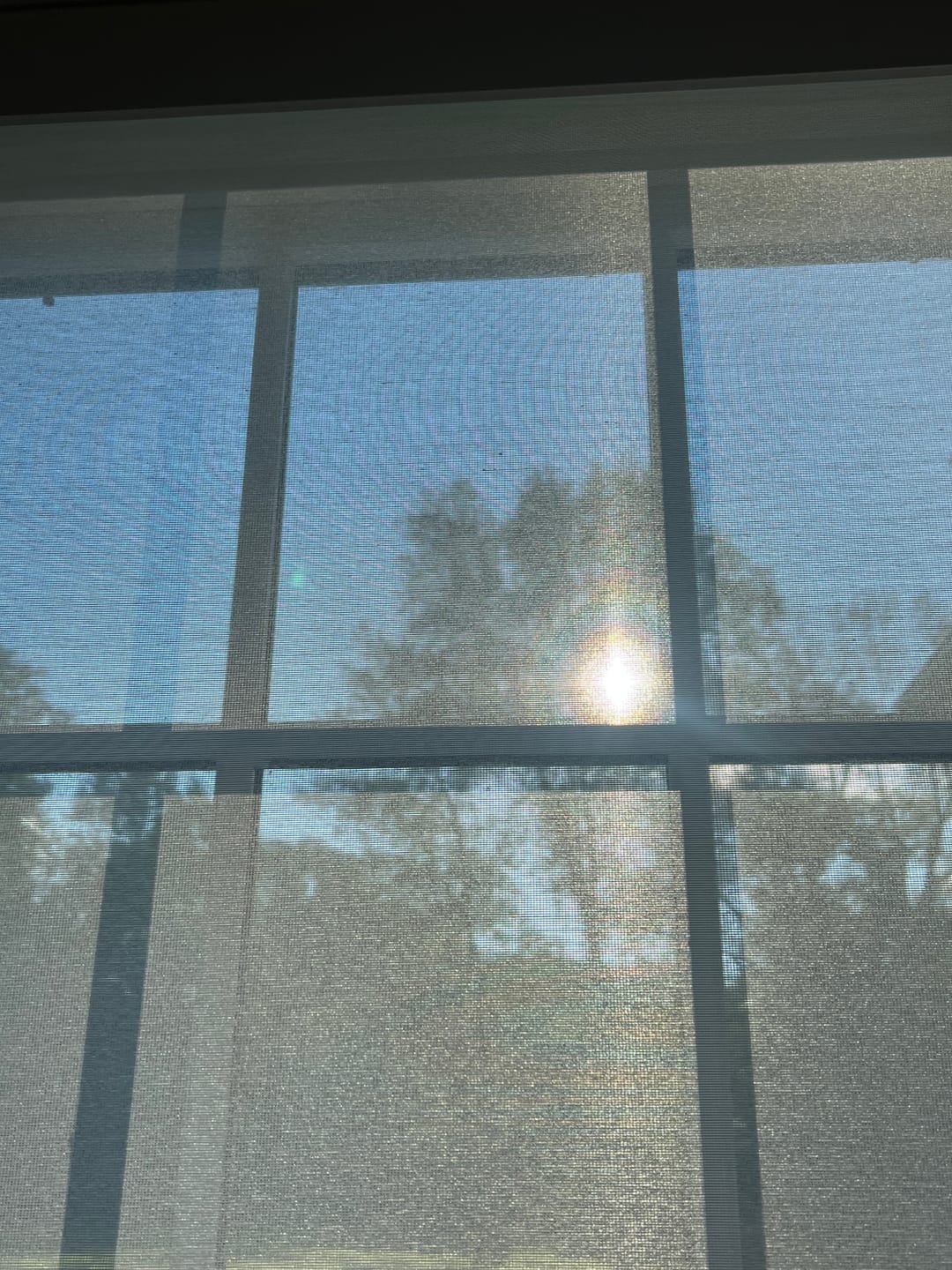 Customer photo review of SmartWings Motorized Light Filtering Roller Shades 50% Blackout PVC Free Sunscreen