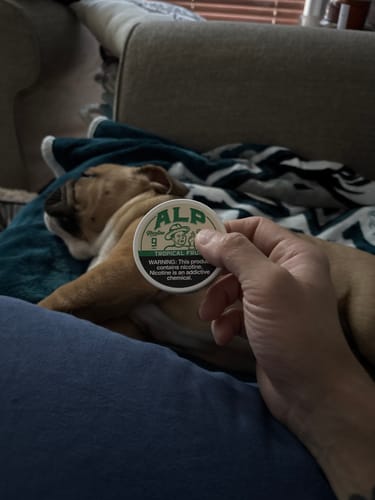 Customer photo review of Tropical Fruit Nicotine Pouches