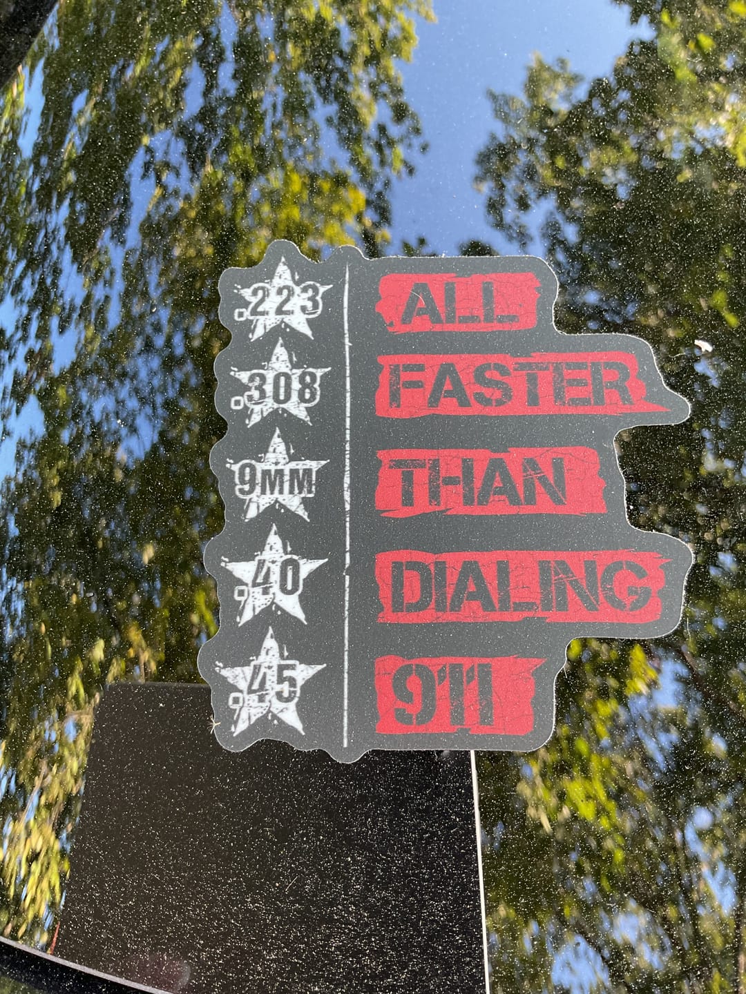 Customer photo review of All Faster than 911 Decal