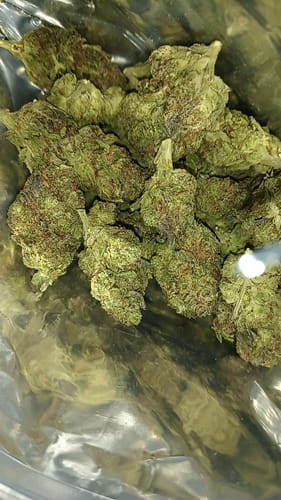 Customer photo review of Khalifa Mints THCA Flower