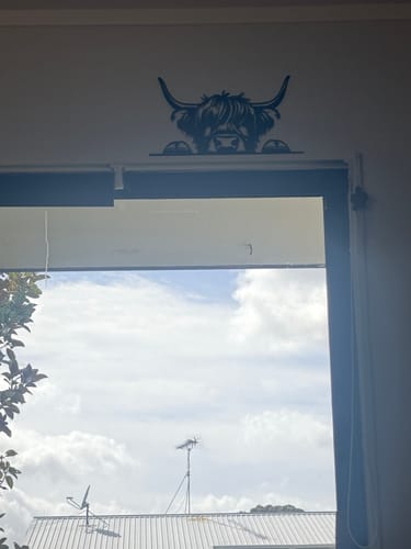 Customer photo review of Peeking Highland Cow Wall Art