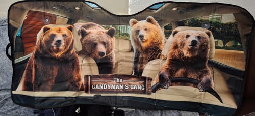 Customer photo review of Maxcorners Bear Drive Custom Name All Over Printed 3D Car Sun Shade