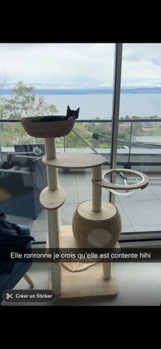 Customer photo review of Arbre à Chat - Terrasse Tigrée
