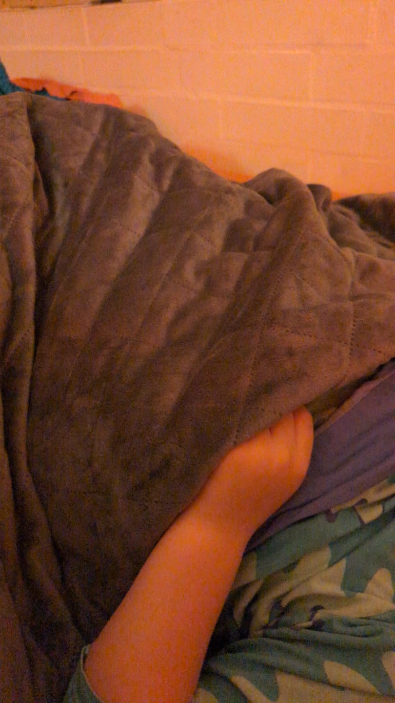 Customer photo review of Weighted Blanket II