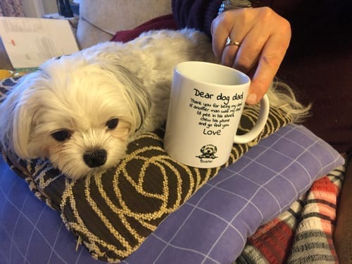 Customer photo review of Personalised Mug With Dog or Cat - Dear Pet Parent