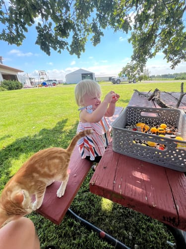 Customer photo review of The Sensory Box- Monthly