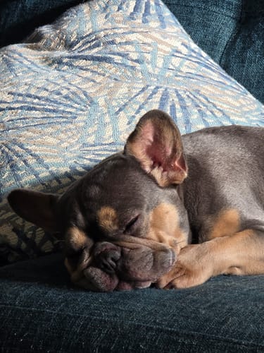 Customer photo review of Daily Multi