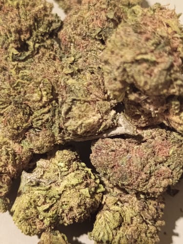 Customer photo review of AVENTUS8 THC-A Flower Hawaiian Haze 10g