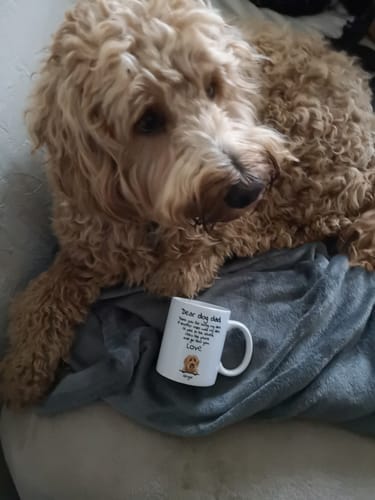 Customer photo review of Personalised Mug With Dog or Cat - Dear Pet Parent