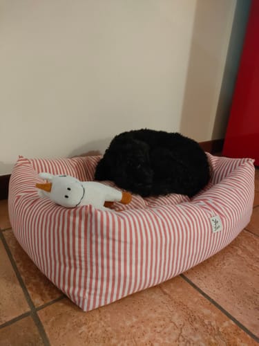 Customer photo review of Divanetto Cotone Righe Strette Bordeaux