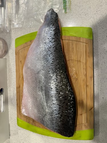 Customer photo review of Fresh Whole NZ Salmon Side / Fillet