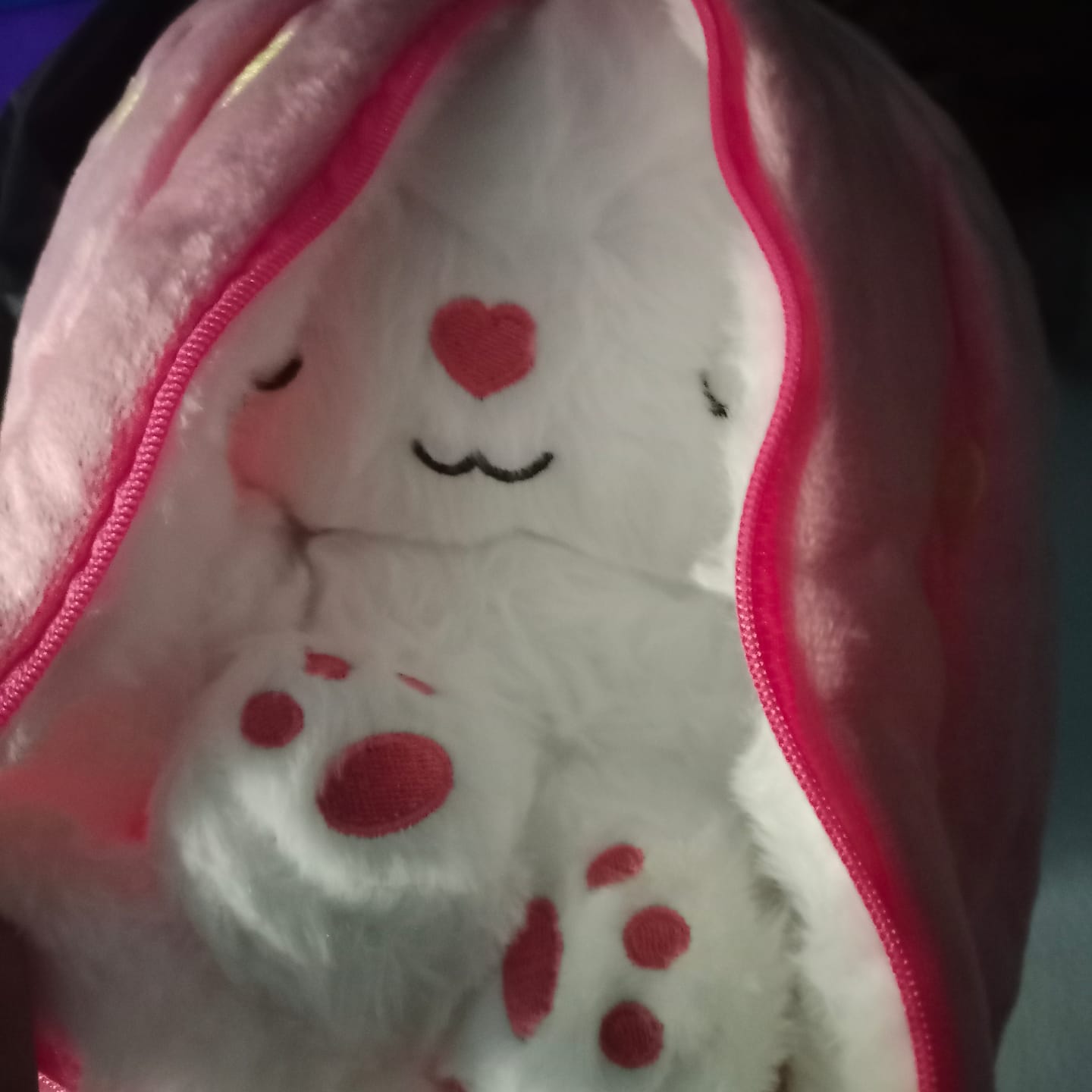 Customer photo review of Dream Bunny: Peluche Antiestrés