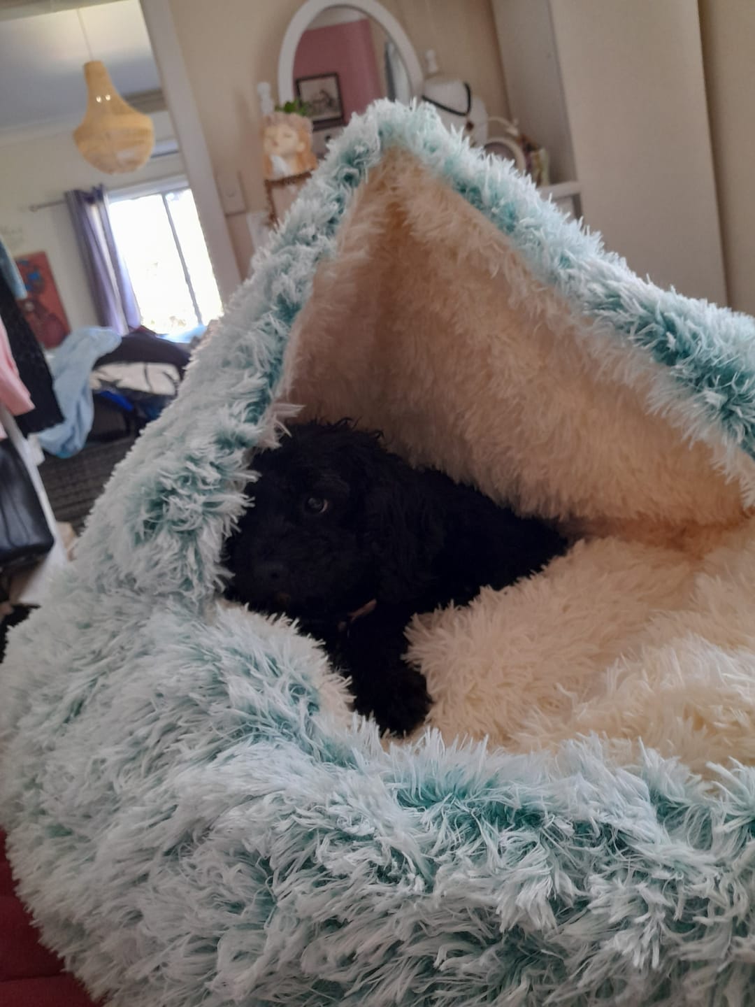 Customer photo review of Snuggle Cave