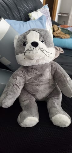 Customer photo review of Lotgenootje Kat 2kg