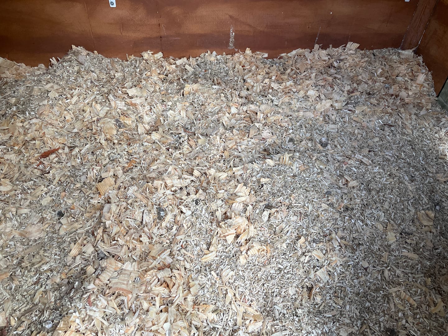 Customer photo review of GrubTerra Coop Refresher!!!