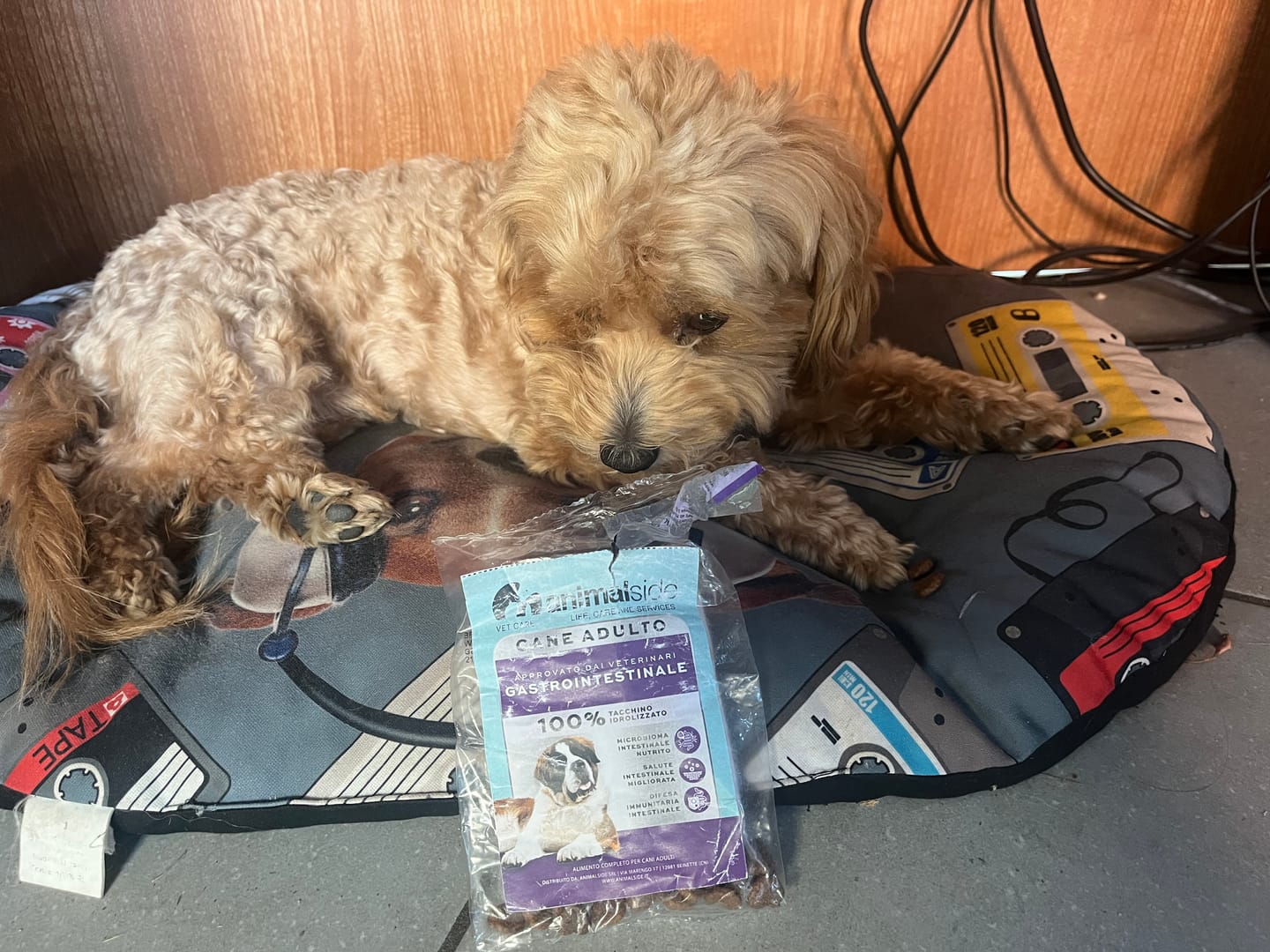 Customer photo review of 100g Crocchette GRAIN FREE