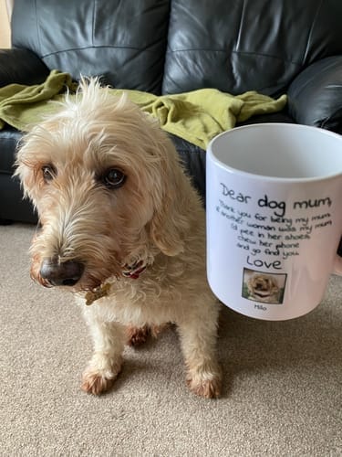 Customer photo review of Personalised Mug With Dog or Cat - Dear Pet Parent
