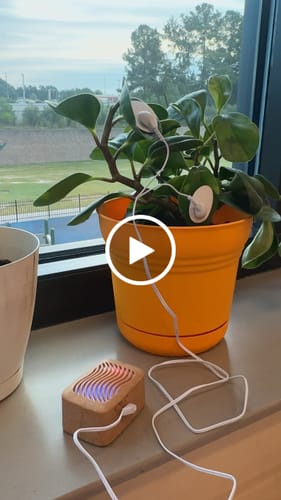 Customer video review of PlantWave