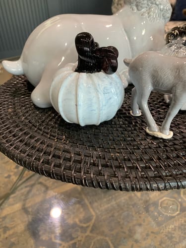 Customer photo review of Skully Halloween Mini