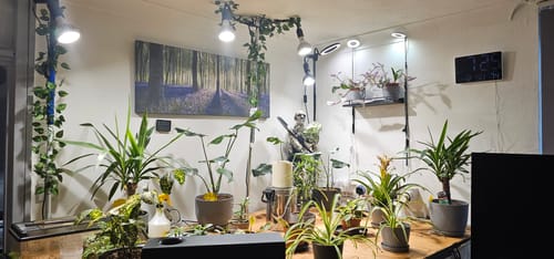 Customer photo review of Pianta Grow Light LED Bulb