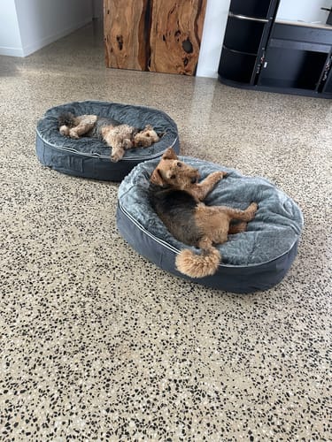 Chanel C. review of Large Luxury Dog Bed - Interior/Outdoor image 1 out of 5