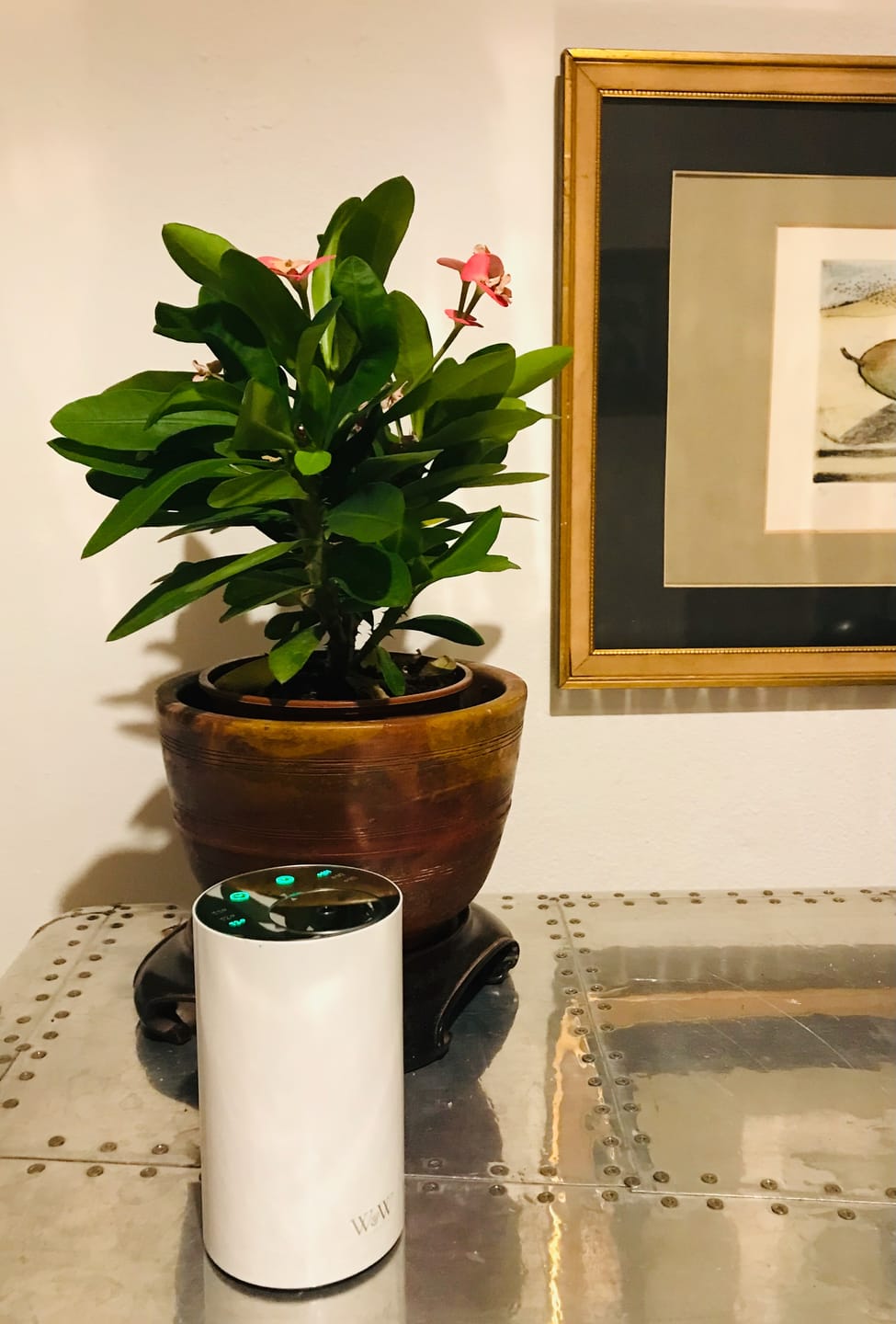 Customer photo review of Nebula Waterless Diffuser - Portable & Rechargeable
