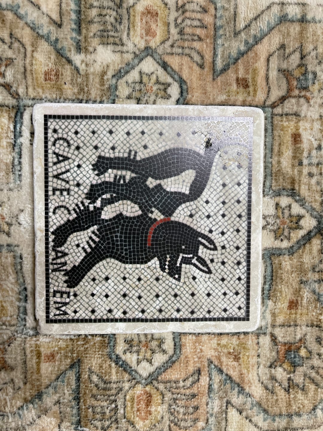 Customer photo review of Piastrella Cave Canem Pompei