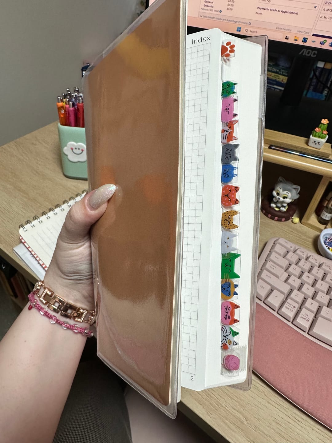 Customer photo review of Cat Monthly Index Tabs by Wonderland 222