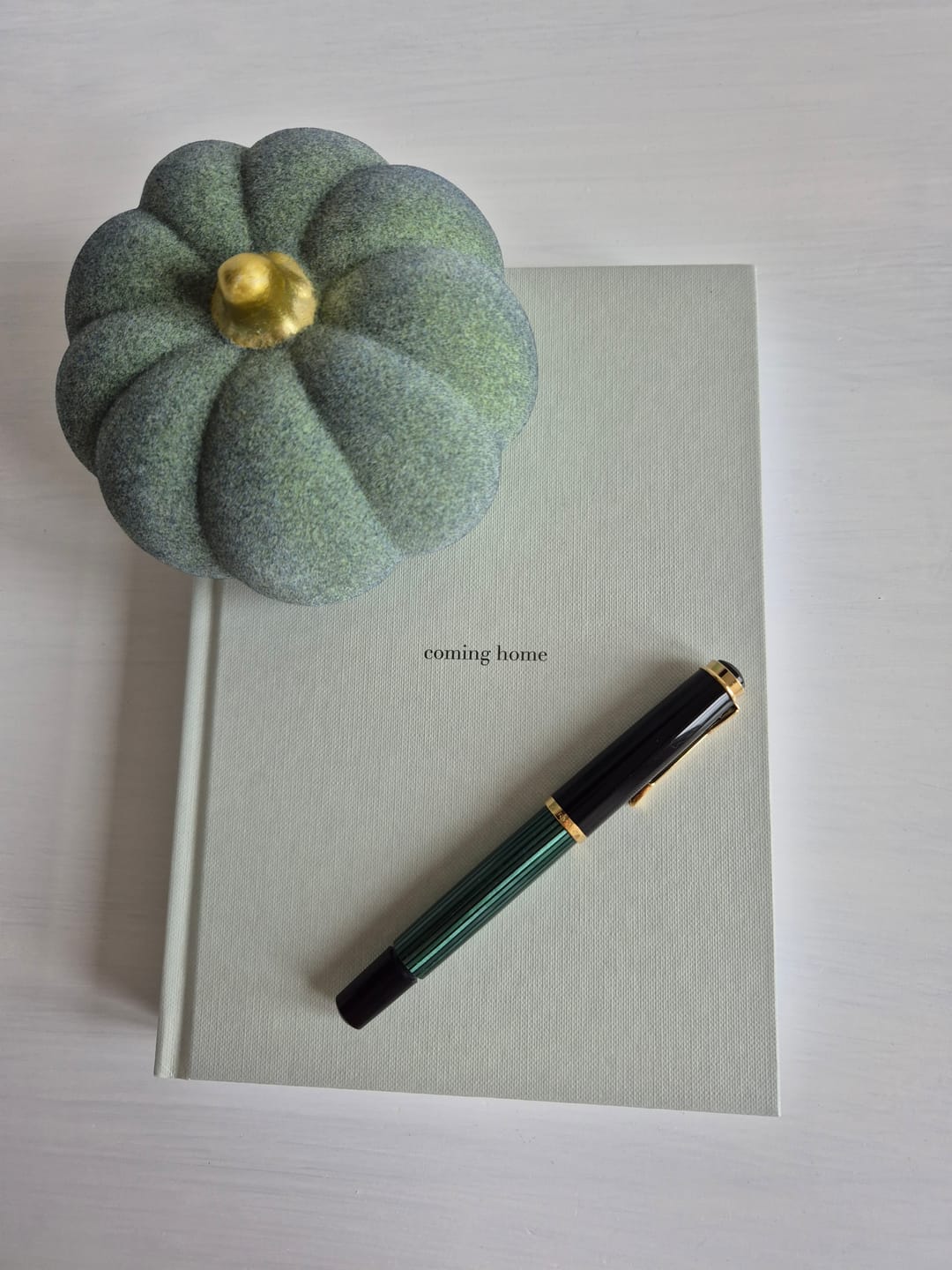 Customer photo review of "coming home" Journal