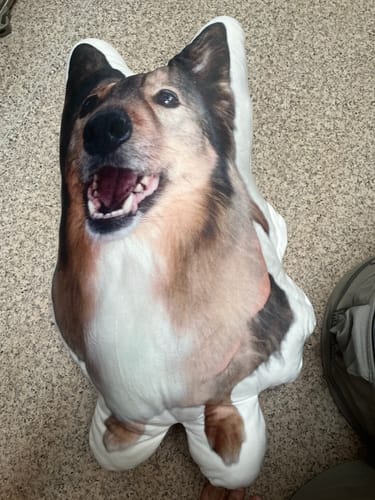 Customer photo review of 本物そっくり♪ペットクッション