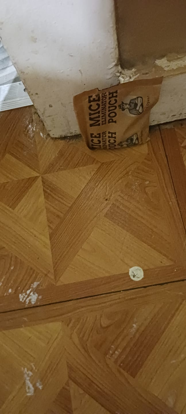 Customer photo review of Mice Eliminator Pouches MEGA Pack - buy 2 get 1 FREE offer!